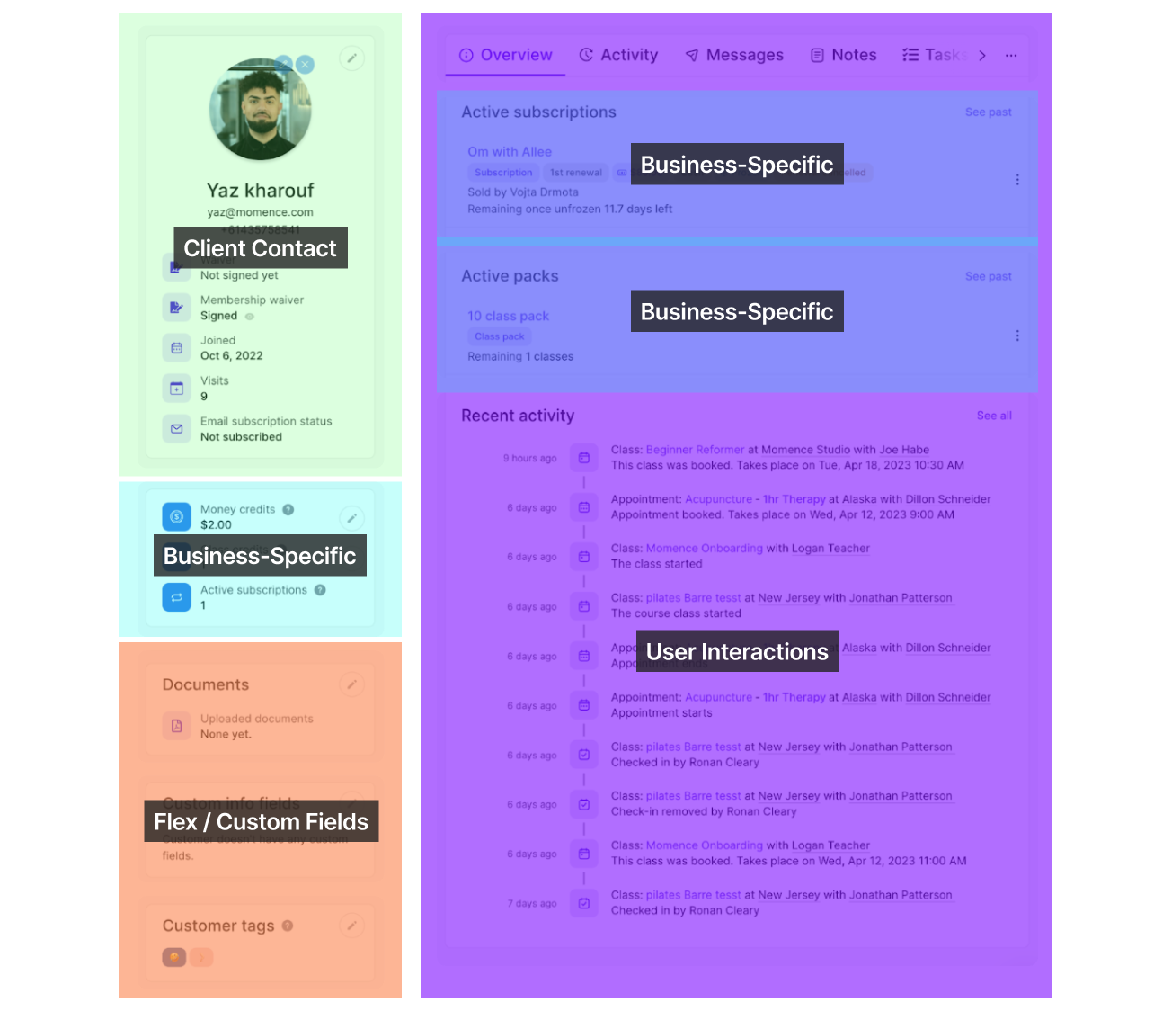 The same Momence profile, annotated. Four large color-coded labels overlay regions of the UI: 'Client Contact' on the left identity rail, 'Business-Specific' on the active subscriptions and active packs, 'User Interactions' on the recent-activity feed, and 'Flex / Custom Fields' on the bottom-left custom info area.