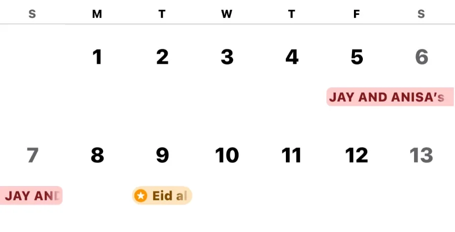 The calendar before: Jay and Anisa's wedding filling Friday March 5 through Sunday March 7, 2027.