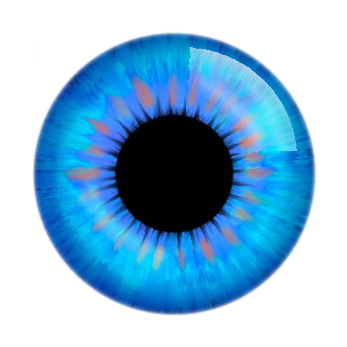 a bright blue iris around a black pupil